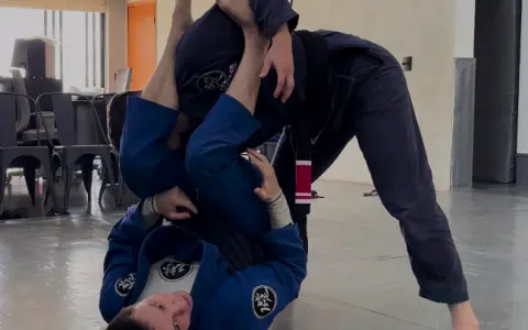 3 Armlocks da Delariva