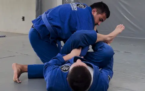 Omoplata da Guarda Aranha